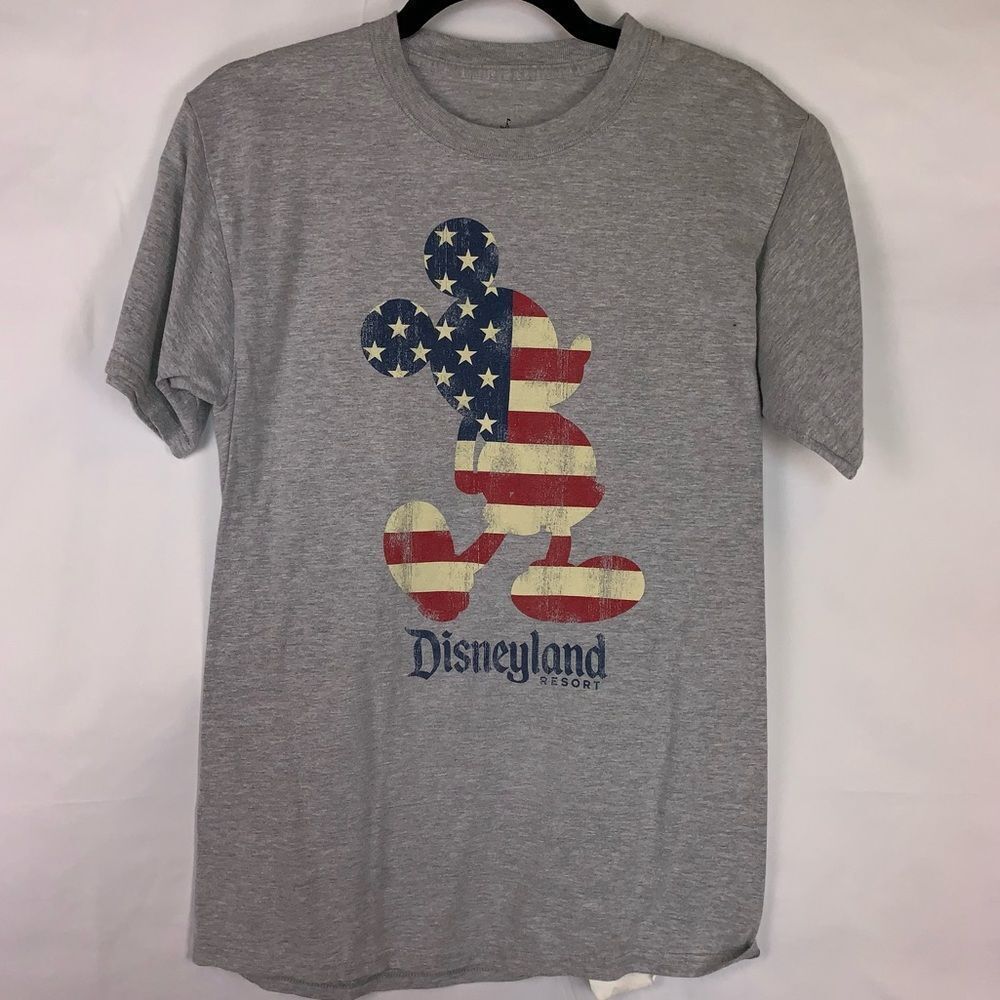Disneyland Resort Graphic T-shirt in Gray